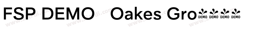 FSP DEMO   Oakes Gro字体转换
